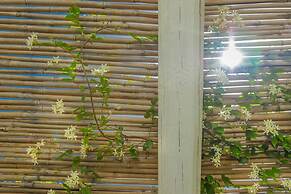 TD Casette Pricci Casetta Lavanda