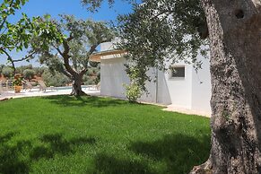 TD Casa Lul Panoramic Pool Over Mediterranean Scrub
