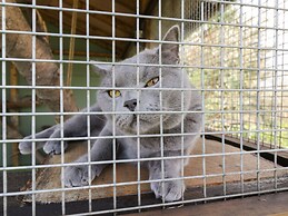 Orchard House Cottage