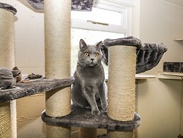 Orchard House Cottage