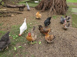 Orchard House Cottage