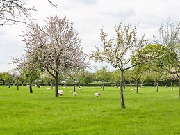 Top Style Orchard