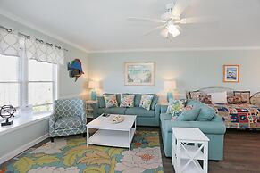 Sea Cliff D-23 Capture The Cape