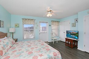 Sea Cliff D-23 Capture The Cape