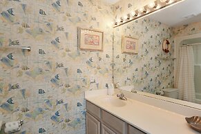 Sea Cliff D-23 Capture The Cape