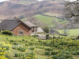 Cwm Heulog