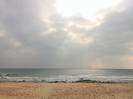 Sandbanks