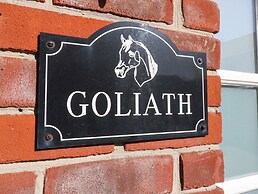 Goliath