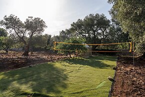 Trulli Cicale e Olive