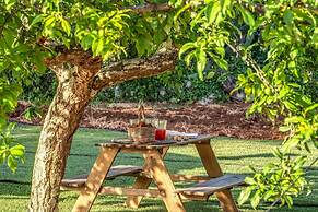 Trulli Cicale e Olive