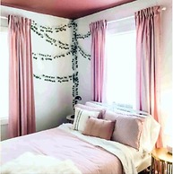 Lil Pinky Family Friendly With New Washer and Dryer