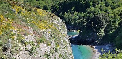 Lovely Period Villa Sleeps 8 Resting in Torquay