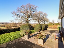 Berwyn View