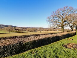 Berwyn View