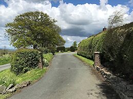 Berwyn View