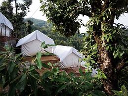 D Jungle Dabas Cottages