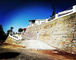 D Jungle Dabas Cottages