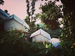 D Jungle Dabas Cottages