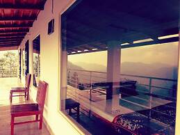 D Jungle Dabas Cottages