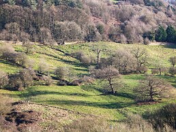 Kirkham House