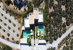 Blue Stone Pool Villa Crete Sea View