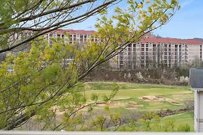 City View at the Foothills - Shared Amenities in the Heart of Branson