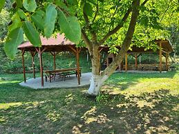 Charming 2bed Cottage in Carasova, Banat Mountains
