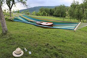 Charming 2bed Cottage in Carasova, Banat Mountains