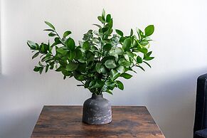 The Luckman Apartments By Barsala