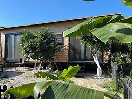 Bodrum Gaia Tiny Houses Butik Hotel