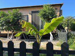 Bodrum Gaia Tiny Houses Butik Hotel