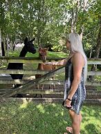 Riverside Homestead Waitangi
