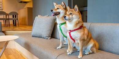 Rakuten STAY VILLA Aso Kurokawa