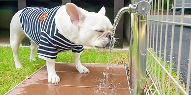 Rakuten STAY VILLA Aso Kurokawa