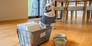 Rakuten STAY VILLA Aso Kurokawa