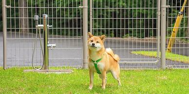 Rakuten STAY VILLA Aso Kurokawa