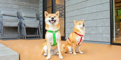 Rakuten STAY VILLA Aso Kurokawa