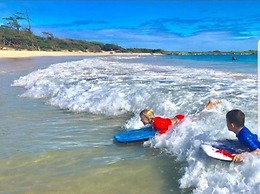 Private Waikiki Condos with Corp Rental Car Discount and free Tour Gui