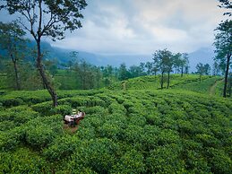 The Lavender House by Reveal