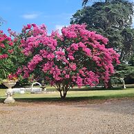 Orangerie du Château Marith