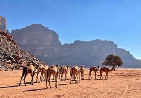 Wadi Rum Tribe - Campsite
