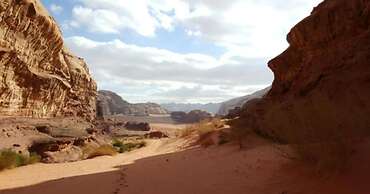 Wadi Rum Tribe - Campsite