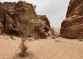Wadi Rum Tribe - Campsite
