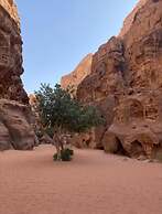 Wadi Rum Tribe - Campsite