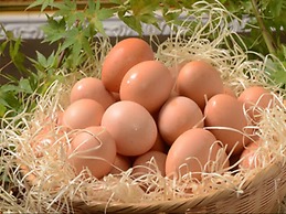 Hotel Lexton Kagoshima