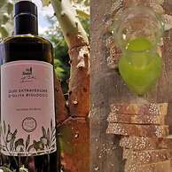 Agriturismo Casalicchio