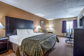 Quality Inn Tully I-81