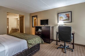 Quality Inn Tully I-81