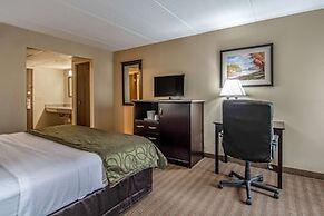 Quality Inn Tully I-81