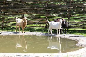Hilton Garden Inn Moscow New Riga